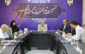 جلسه علنی شورای اسلامی زرین شهر