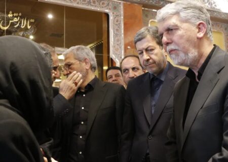 وزیر فرهنگ با خانواده استاد فرشچیان دیدار و فقدان ایشان را تسلیت گفت