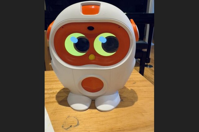 این ربات، برادر کوچک من است!