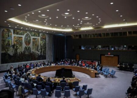 شورای امنیت سازمان ملل با ایجاد حکومت موازی در سودان مخالفت کردند