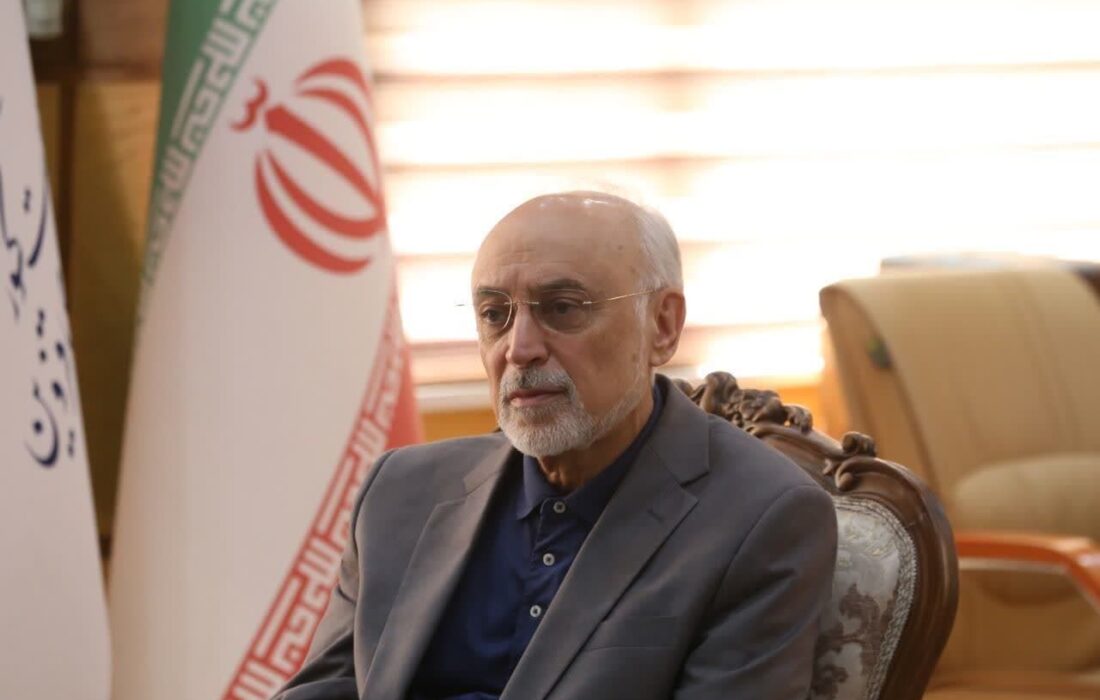 صالحی: اهمیت جایزه مصطفی (ص) در فرایند انتخاب دقیق ‌و معرفی برگزیدگان به دنیا است