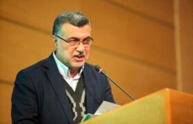 وزیر بهداشت: مسئله جمعیت ارتباط مستقیم با توسعه پایدار کشور دارد