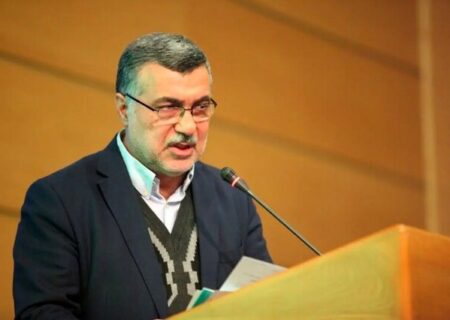 وزیر بهداشت: مسئله جمعیت ارتباط مستقیم با توسعه پایدار کشور دارد