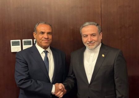 وزیران خارجه ایران و مصر بر لزوم ادامه رایزنی‌ها برای حفظ ثبات در منطقه تاکید کردند