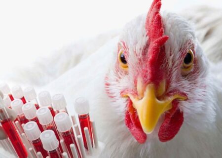 تولید انبوه داخلی واکسن آنگارا به زودی آغاز می‌شود