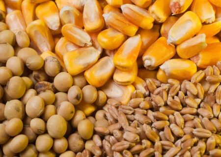 ثبات در بازار نهاده‌ها با تامین کافی ذخایر استراتژیک