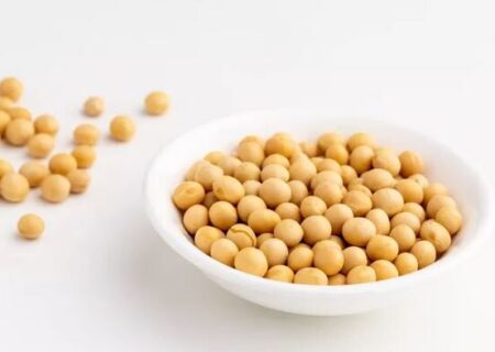 سویا؛ از خواص و فرآورده‌های متنوع تا موارد احتیاط