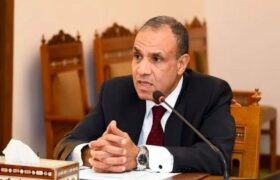 رایزنی وزیر خارجه مصر با وزرای خارجه عربستان، اردن و ترکیه درباره تحولات منطقه