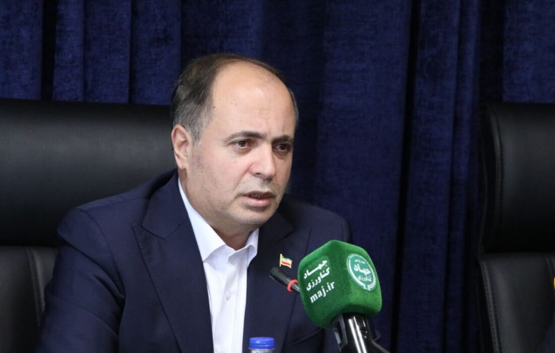 نوری: افزایش ۵ درصدی تولید برنج داخلی/صادرات بخش کشاورزی ۱۰.۶ درصد رشد کرد