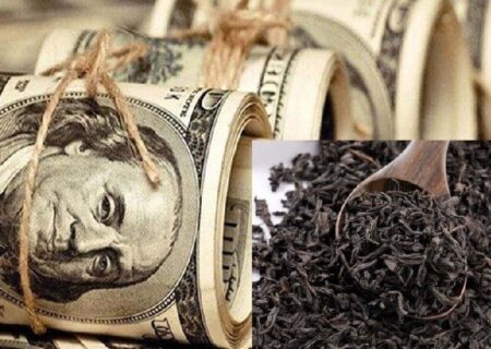 دفاع اجرایی در برابر نقد ساختاری