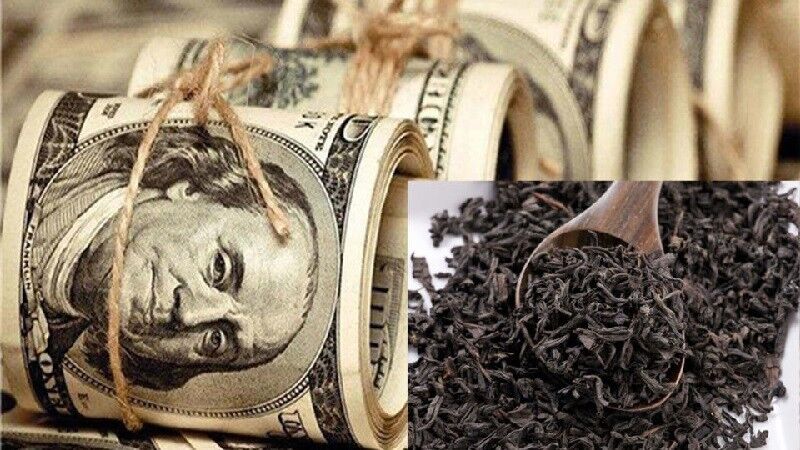 دفاع اجرایی در برابر نقد ساختاری