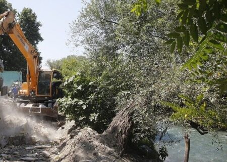 گشتی در معضلات