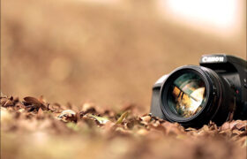 چرا لنز دوربین گرد است، اما عکسها مستطیل؟