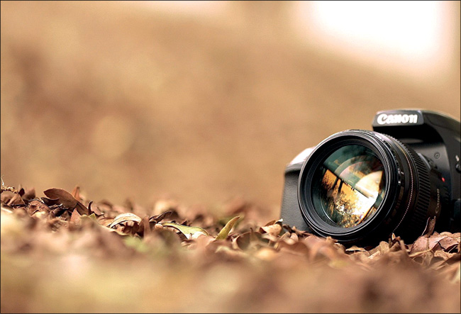 چرا لنز دوربین گرد است، اما عکسها مستطیل؟