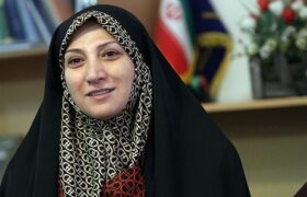 سیاستورزی آنلاین و نقش آن در تحول دموکراسی