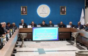 مشارکت احزاب سیاسی راهکار اداره کشور در دولت چهاردهم/یاری استاندار توسط احزاب کمک به مردم است