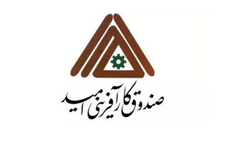 مدیرعامل صندوق کارآفرینی امید منصوب شد