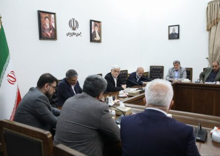 عارف: باید زنجیره تأمین و تولید کالاهای اساسی به عهده بخش خصوصی باشد