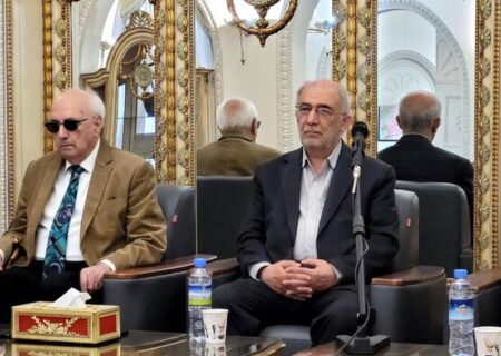 علائی: نشست شرم‌الشیخ برای ایران، فرصت نبود