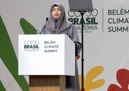 انصاری: ایران با وجود تحریم‌ها به تعهدات اقلیمی خود پایبند است