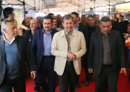 گذار از اقتصاد سنتی به اقتصاد مقاومتی نیازمند توسعه صنایع تبدیلی و تقویت نهادهای محلی روستایی است