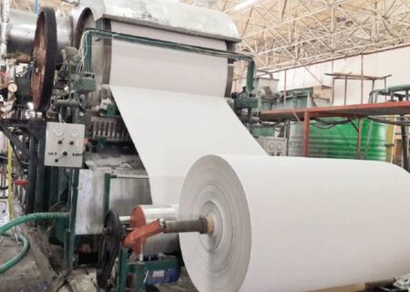 صالحی: یارانه‌ مطبوعات بر اساس نظام رتبه‌بندی انجام شد