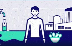 توصیه‌های متناقض اینفلوئنسرها در مورد سلامتی/۵ عادت ضروری برای سلامتی