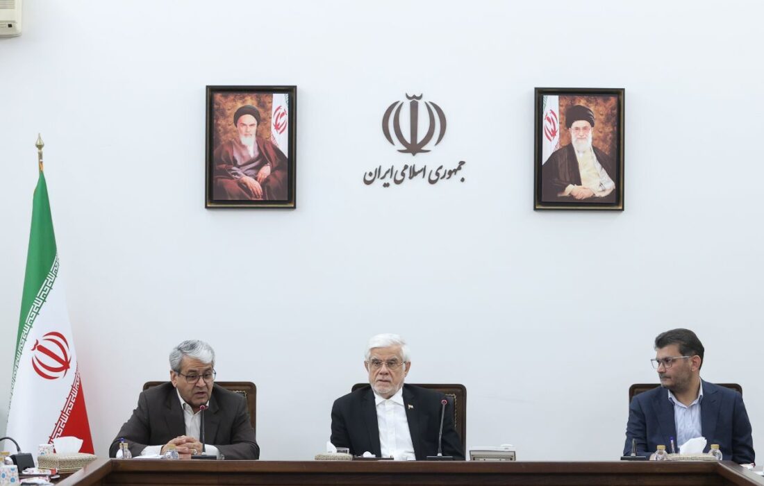 عارف: دولت حق ندارد خلاف منویات مردم کاری کند