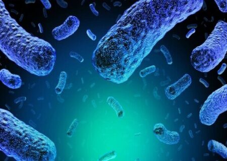 پژوهشی درباره نقش عادات بهداشتی در بازگشت یک بیماری زنانه