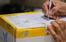 شاپوری: بدون مجوز، هیچ کالای خوراکی یا دارویی ارسال نمیشود