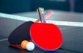 دختر پینگ‌پنگ‌باز ایرانی در بوندسلیگا دو آلمان درخشید