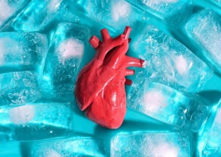 رفع مانع اصلی پیوند اعضا؛ روش جدید انجماد بدون ترک‌خوردگی