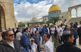 هشت روز کابوس‌وار برای مسجدالاقصی/فلسطینیان به پاخیزند