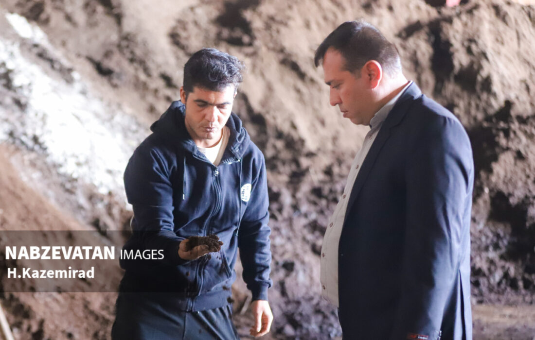 بازدید دهیار کلیشادرخ از واحد تولیدی کمپوست قارچ