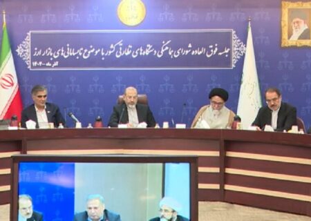 برگزاری جلسه فوق‌العاده دستگاه‌های نظارتی درباره نابسامانی‌های بازار ارز