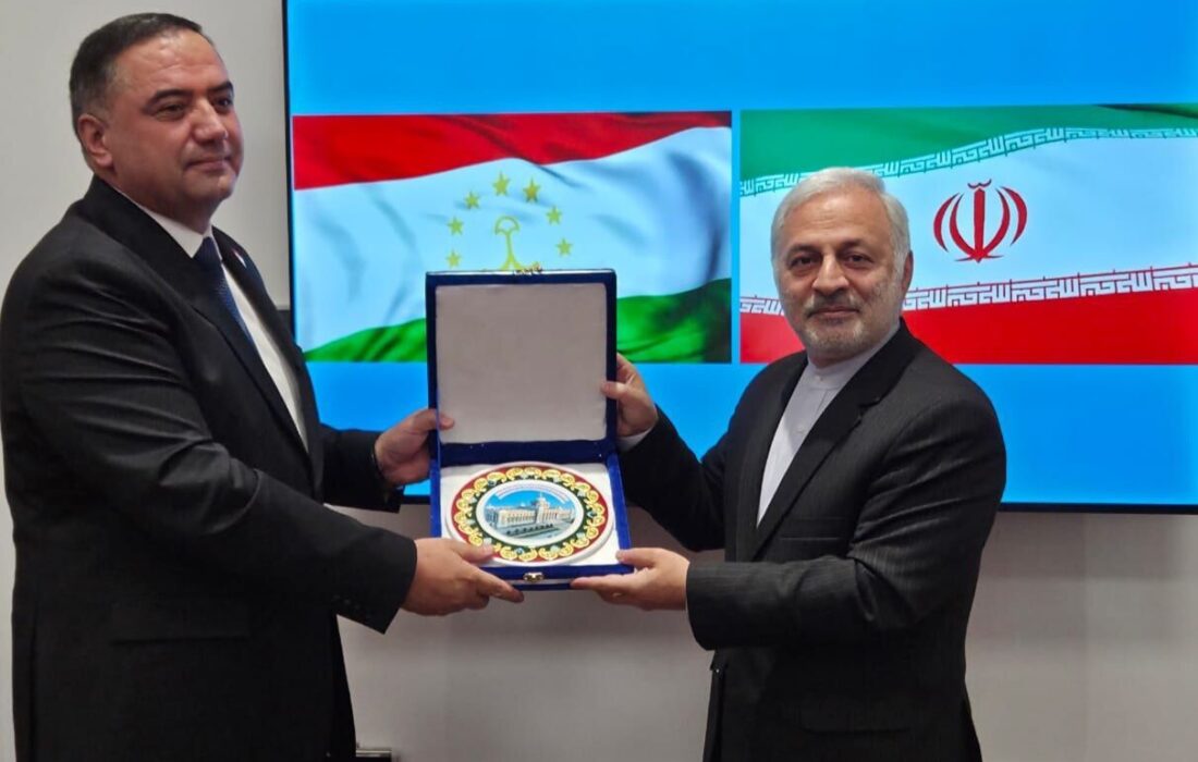 معاون مجلس وزارت خارجه با معاون رئیس مجلس تاجیکستان دیدار کرد