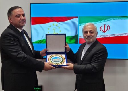 معاون مجلس وزارت خارجه با معاون رئیس مجلس تاجیکستان دیدار کرد