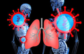 ریه‌های کوچکی که آزمایش درمان‌های سرطان را امکان‌پذیر می‌کنند