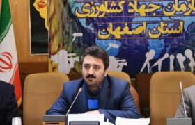 مرادمند علت افزایش قیمت برنج و تغییر در روند عرضه آن در بازار اصفهان را تشریح کرد