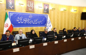 کمیسیون تلفیق مجلس با کلیات لایحه بودجه ۱۴۰۵ موافقت کرد