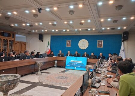 جمالی‌نژاد: همه جریان‌های سیاسی باید در انتخابات حضور پیدا کنند