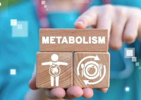 ۴ عامل اثرگذار بر سوخت‌وساز بدن