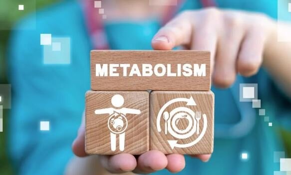 ۴ عامل اثرگذار بر سوخت‌وساز بدن