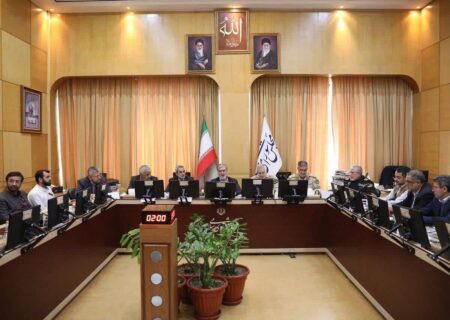 اعضای کمیسیون امنیت ملی و سیاست خارجی مجلس بر لزوم حمایت از مرزبانان کشور تاکید کردند