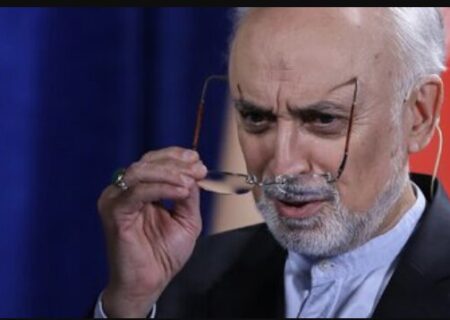 صالحی: بدون اعتماد جهانی هر روز تنهاتر می‌شویم!/برجام مورد بی مهری قرار گرفت