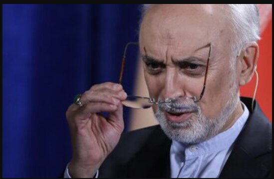 صالحی: بدون اعتماد جهانی هر روز تنهاتر میشویم!/برجام مورد بی مهری قرار گرفت