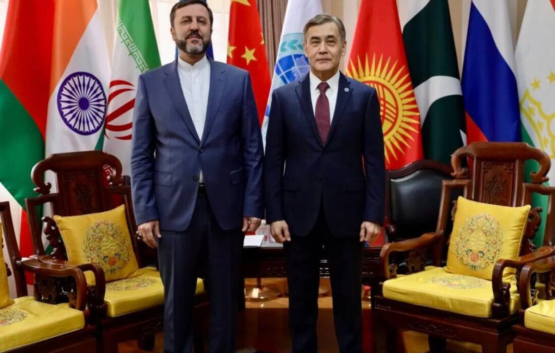 غریب‌آبادی با دبیرکل سازمان همکاری شانگهای دیدار کرد