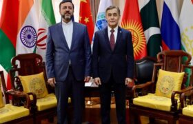 غریب‌آبادی با دبیرکل سازمان همکاری شانگهای دیدار کرد