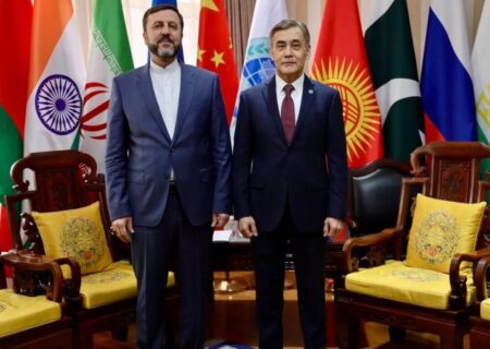 غریب‌آبادی با دبیرکل سازمان همکاری شانگهای دیدار کرد