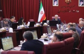 تصویب شرایط واگذاری ۹۵ درصد شرکت کشت و صنعت هفت تپه